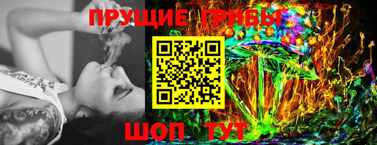 Галлюциногенные грибы Cubensis Дзержинский